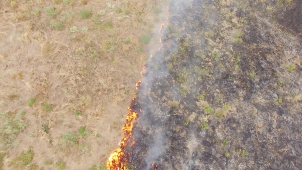 Agricultural Field In Fire