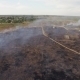 Dry Field Burning Near Settlement - VideoHive Item for Sale