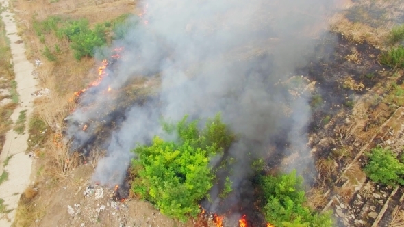 Burning Fields In Heavy Smoke