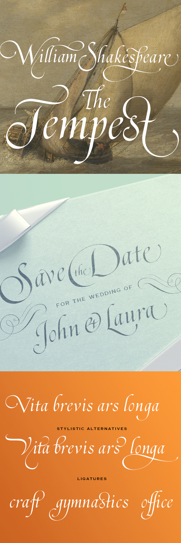November Script - Script Fonts