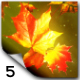 Golden Autumn Transitions Golden Autumn Transitions - VideoHive Item for Sale