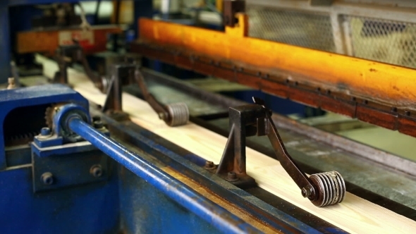 Glulam Production Slats On Conveyor