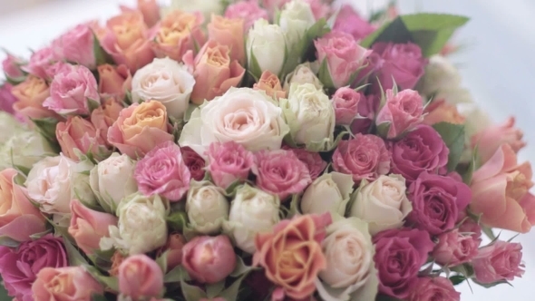 Gorgeous Pink Flowers By Aserushkov Videohive Play Preview Video