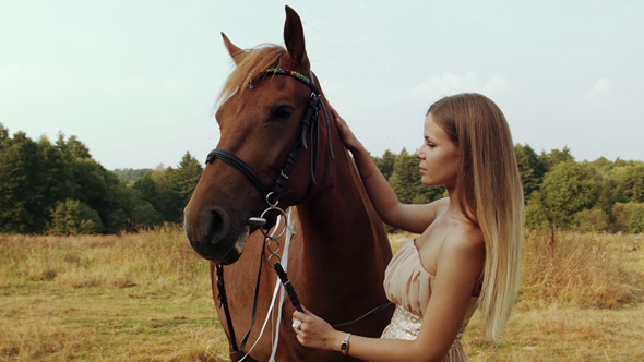 Girl Stroking a Brown Horse In Field