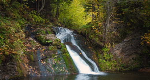 Landscape and Nature