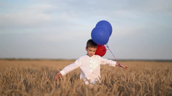 Cute Boy Walk in the Wheat Field with Balloons