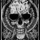 Grunge Skull, Vectors | GraphicRiver