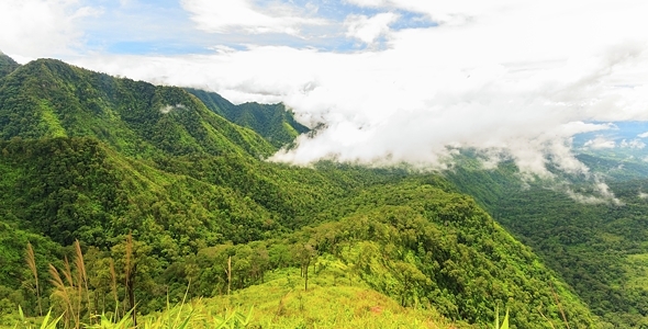  Cloudscape in Rainforest.