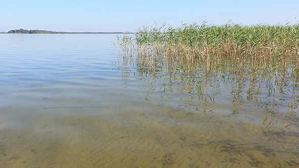 Summer Rushy Lake. alt