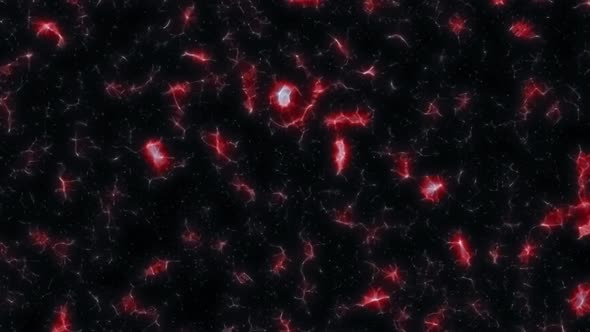 Biological Concept, Cell Division, White Blood Cell Movement alt