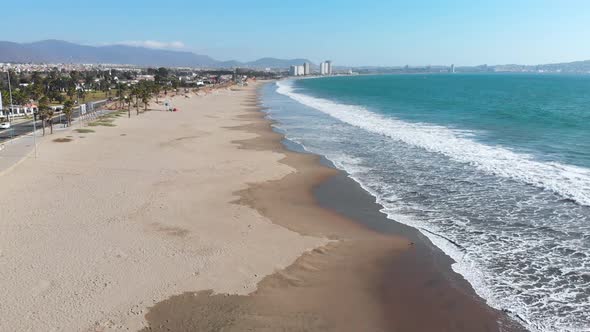 Birds on the pacific ocean coast beach (Coquimbo, Chile) aerial view alt