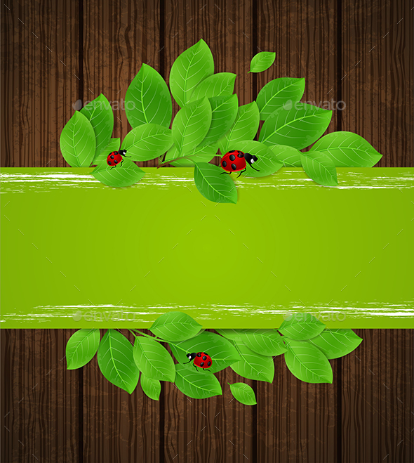 Banner with Leaves and Ladybug - Seasons Nature