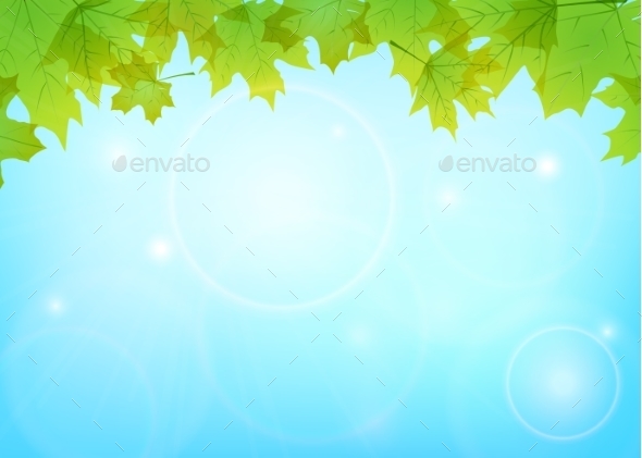 Maple Leaves and Blue Sky - Seasons Nature