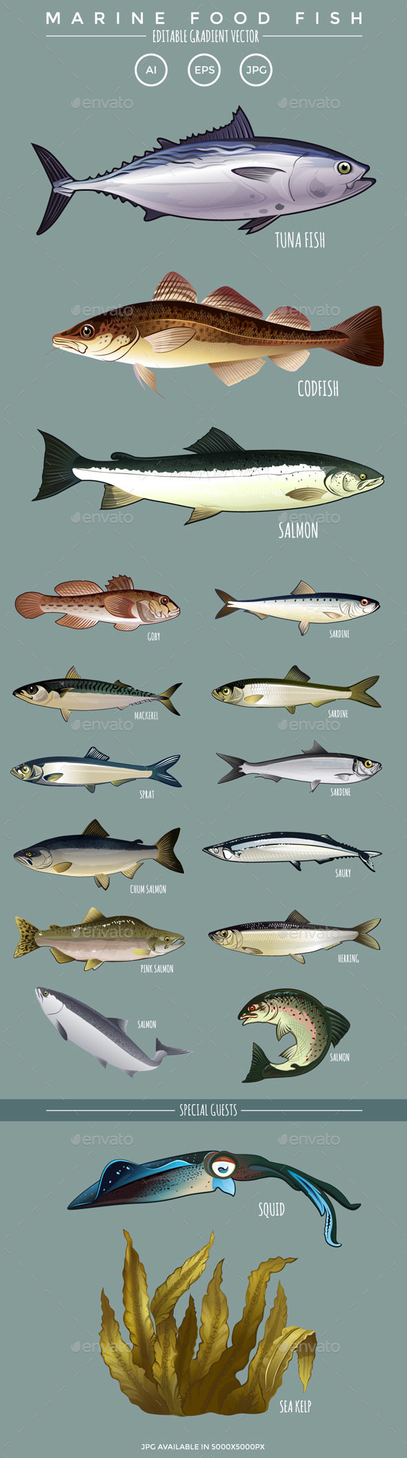 Marine Food Fish - Food Objects