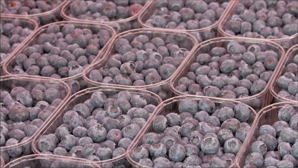 Lots of Blueberries on Every Basket