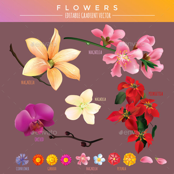 Flowers - Organic Objects Objects