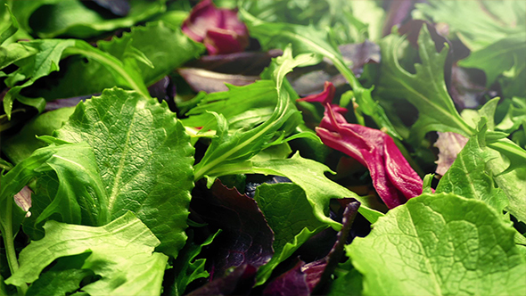 Fresh Mixed Leaf Salad Rotating, Stock Footage | VideoHive