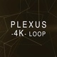 Plexus Background 4K - VideoHive Item for Sale