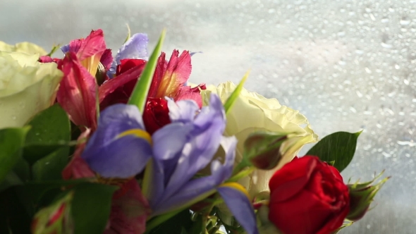 Drops Of Water Falling On Beautiful Bouquet Of Roses, Iris And Alstroemeria. alt
