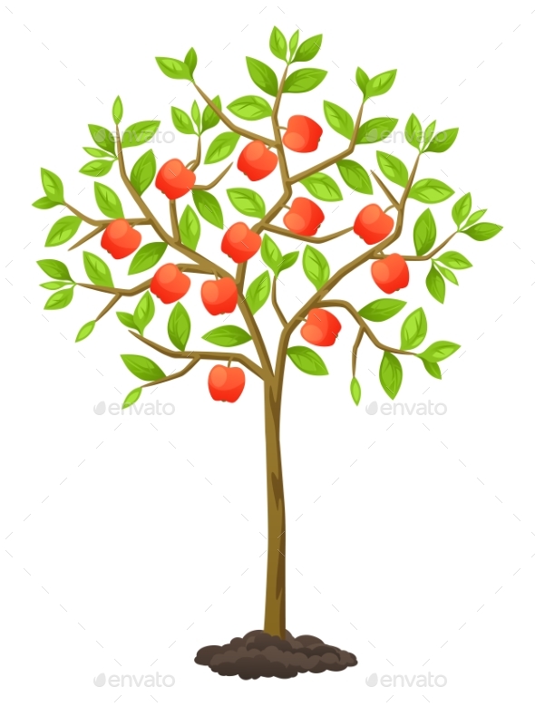 Fruit Tree with Apples - Flowers & Plants Nature