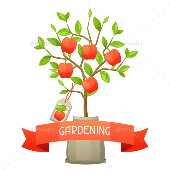 Seedling of Apple Tree with Tag - Flowers & Plants Nature