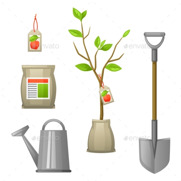 Set of Seedling Fruit Tree - Flowers & Plants Nature