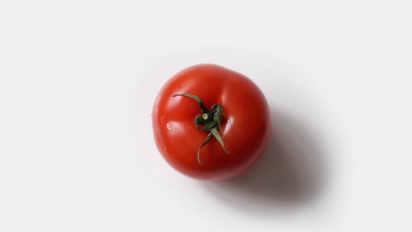 Fresh Tomato On White Background