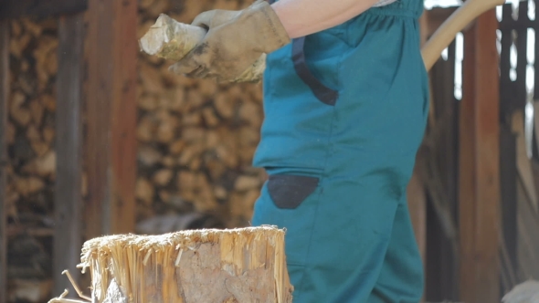 Lumberjack Chopping Hard Wood