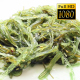 Salad Of Seaweed Salad Of Seaweed - VideoHive Item for Sale