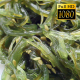 Salad Of Seaweed 2 - VideoHive Item for Sale