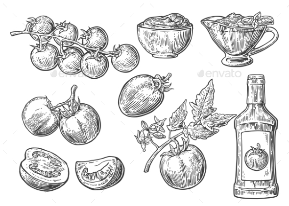 Set of Hand Drawn Tomatoes - Food Objects