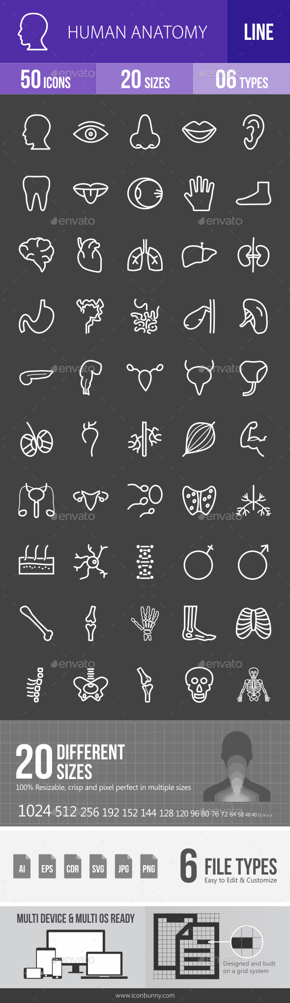 Human Anatomy Line Inverted Icons - Icons