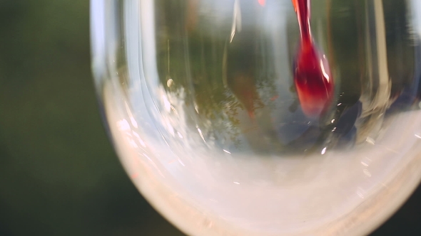 Red Wine Poured Into Glass.