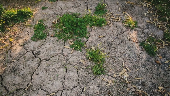  Dry Cracked Earth. alt