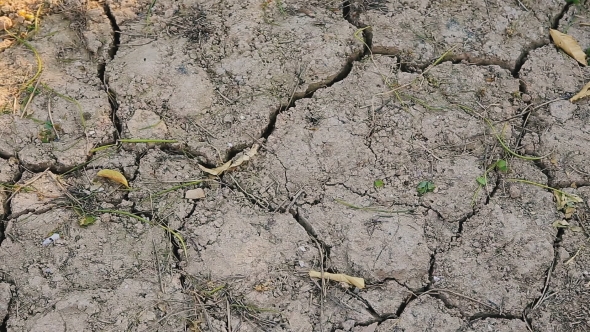  Dry Cracked Earth.