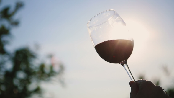 Hand Shakes Red Wine In a Transparent Wine Glass On Background Sun.