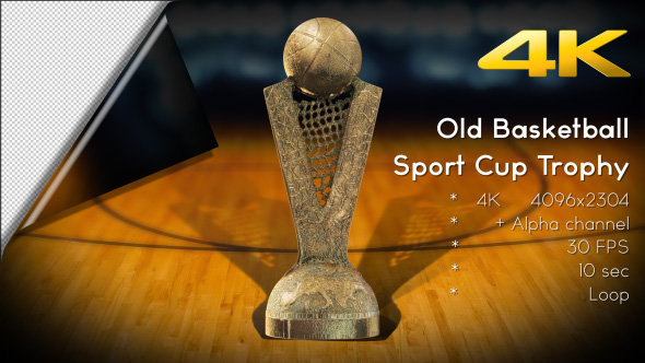 Old Basketball Sport Trophy Cup 02