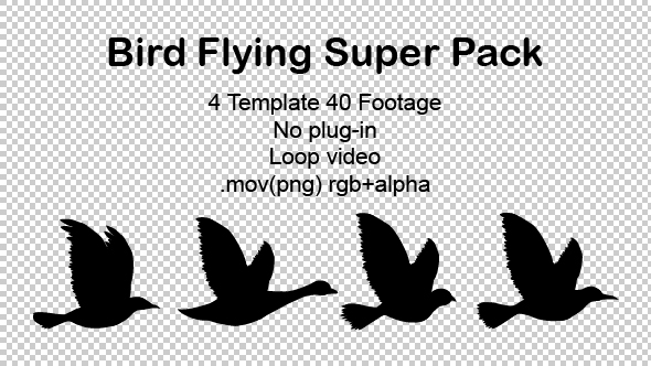 Bird Flying Super Pack