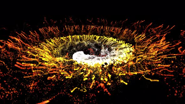 Animation Video Golden Glitter Explosion alt