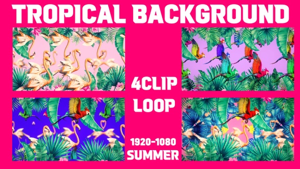 Tropical Background Loop 4Clip