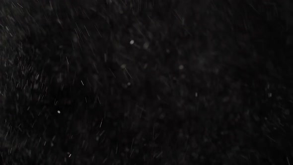 Floating Transparent Flecks of Dust Are Shining on Black Background. alt