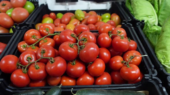 Fresh Vegetables in Supermarket alt