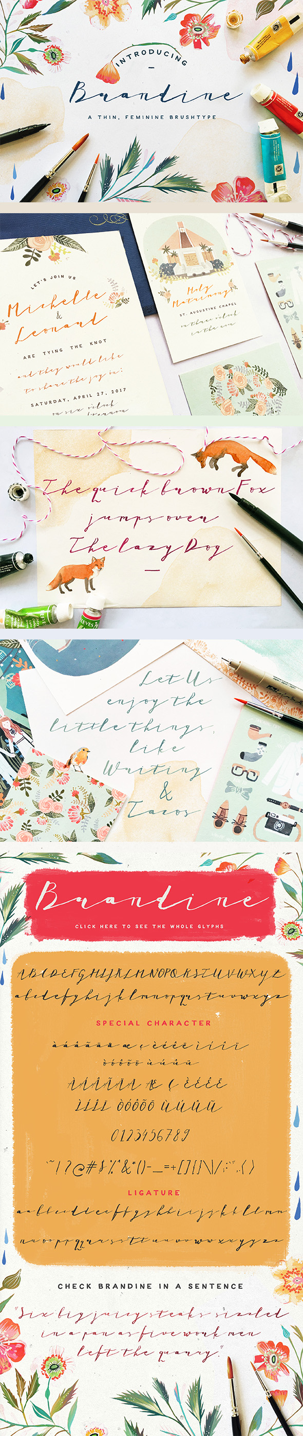 Brandine - Script Fonts