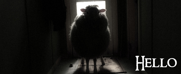 Lamb