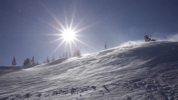 Winter Landscape. Cold Day, With Snow Shining In The Sun. alt
