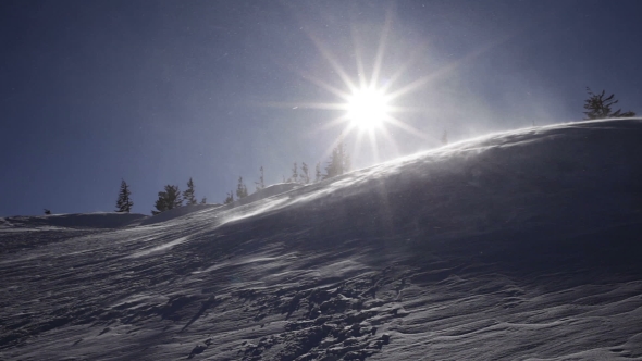 Winter Landscape. Cold Day, With Snow Shining In The Sun. alt