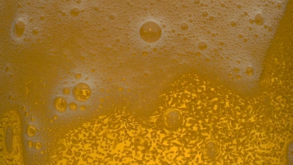 Glass Of Beer With Froth 