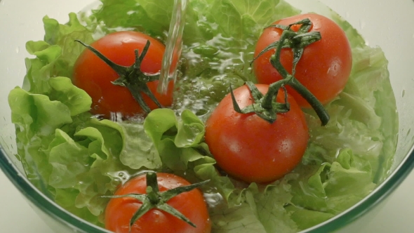 Fresh Green Salad With Tomatos In a Bowl Of Water