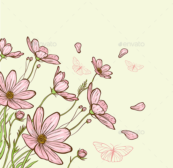 Cosmos Flowers and Butterfly - Flowers & Plants Nature