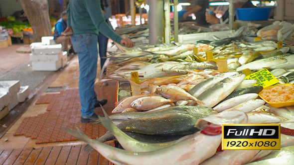 Fish Market 7